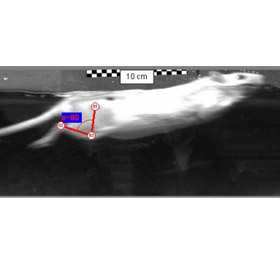 Analysis and Application Software MaxTRAQ-VJR Dealer India